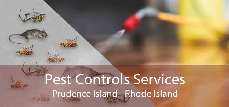 Pest Controls Services Prudence Island - Rhode Island