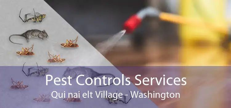 Pest Controls Services Qui nai elt Village - Washington
