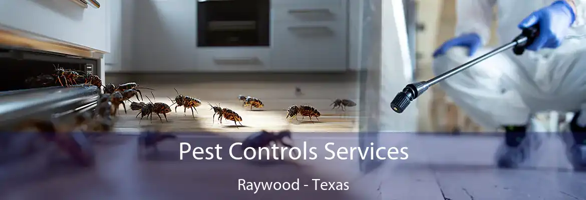 Pest Controls Services Raywood - Texas