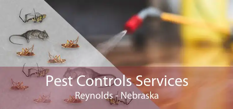 Pest Controls Services Reynolds - Nebraska