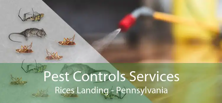 Pest Controls Services Rices Landing - Pennsylvania