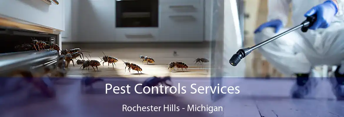Pest Controls Services Rochester Hills - Michigan