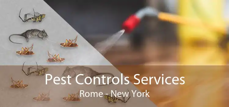 Pest Controls Services Rome - New York