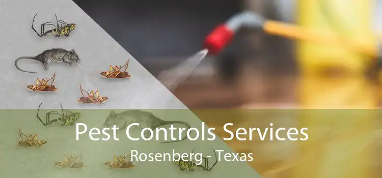 Pest Controls Services Rosenberg - Texas