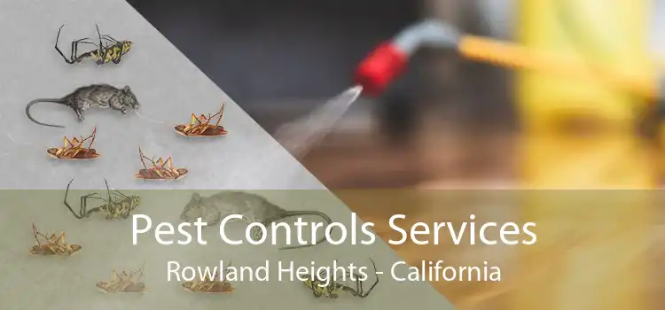 Pest Controls Services Rowland Heights - California