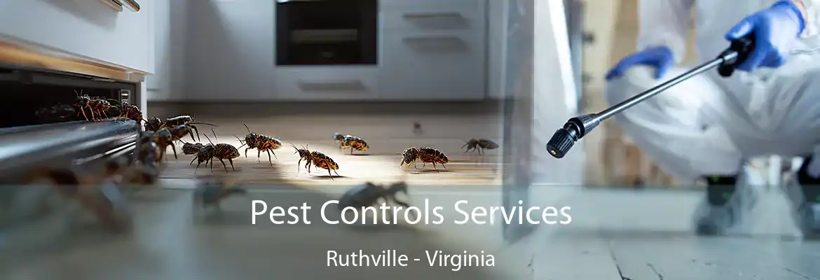 Pest Controls Services Ruthville - Virginia