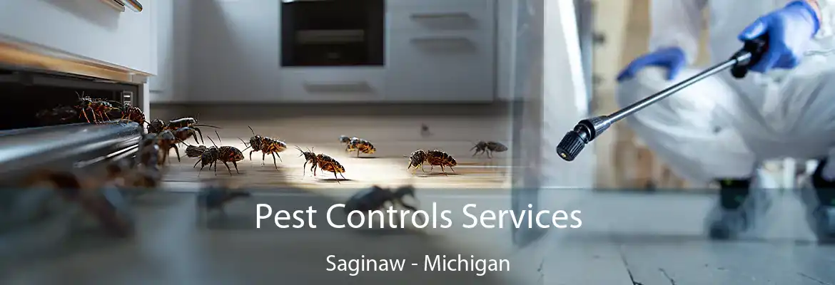 Pest Controls Services Saginaw - Michigan