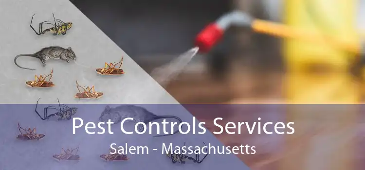 Pest Controls Services Salem - Massachusetts