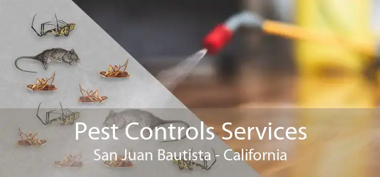 Pest Controls Services San Juan Bautista - California