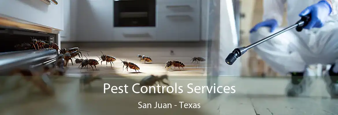 Pest Controls Services San Juan - Texas