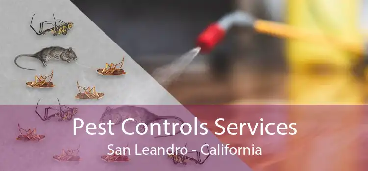 Pest Controls Services San Leandro - California