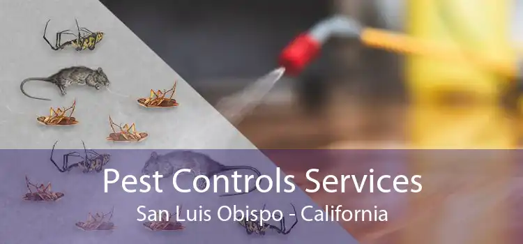 Pest Controls Services San Luis Obispo - California