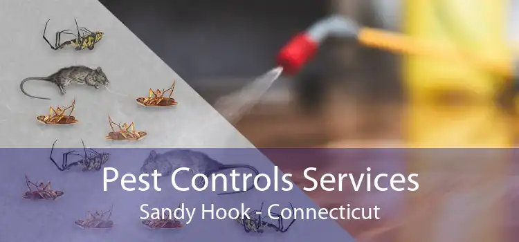 Pest Controls Services Sandy Hook - Connecticut