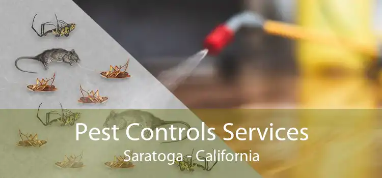 Pest Controls Services Saratoga - California