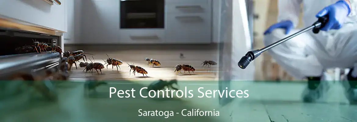 Pest Controls Services Saratoga - California