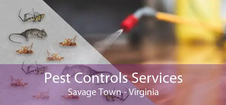 Pest Controls Services Savage Town - Virginia