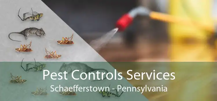 Pest Controls Services Schaefferstown - Pennsylvania