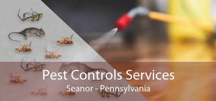 Pest Controls Services Seanor - Pennsylvania