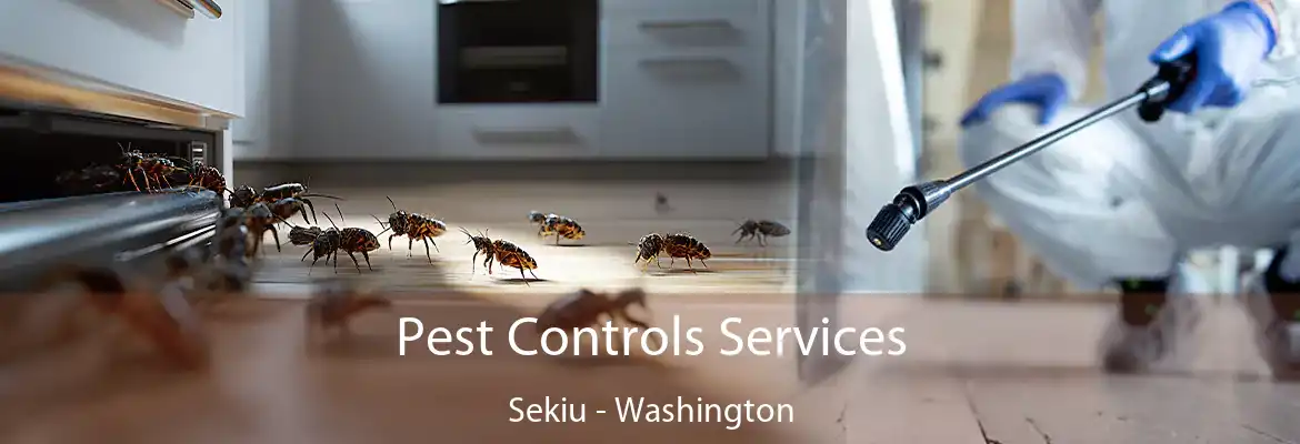 Pest Controls Services Sekiu - Washington