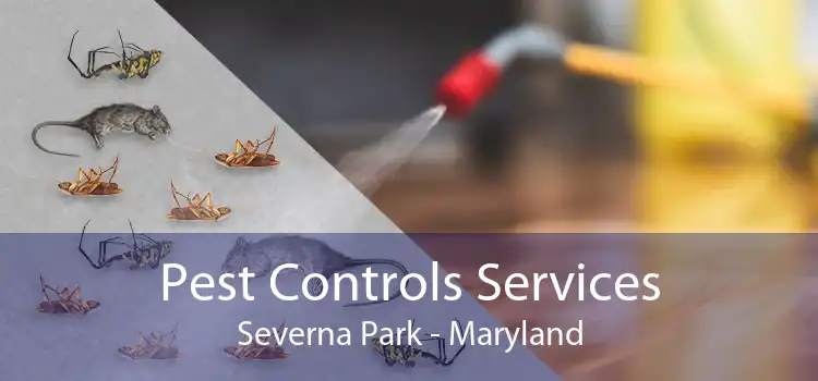 Pest Controls Services Severna Park - Maryland