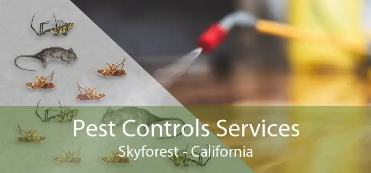 Pest Controls Services Skyforest - California