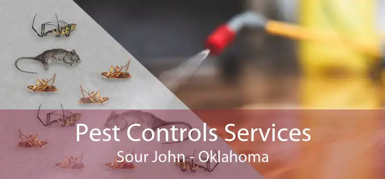 Pest Controls Services Sour John - Oklahoma