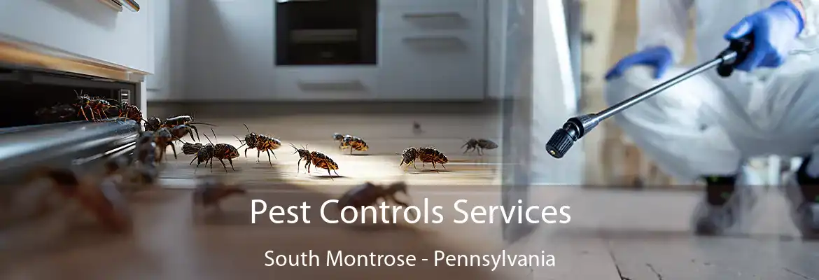 Pest Controls Services South Montrose - Pennsylvania