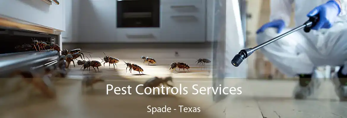 Pest Controls Services Spade - Texas