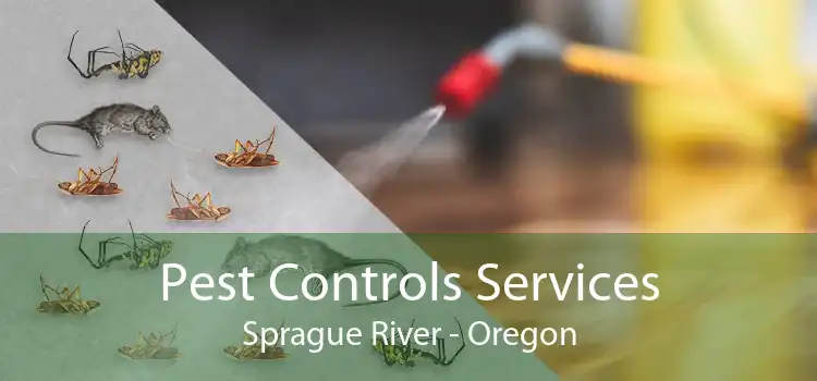 Pest Controls Services Sprague River - Oregon