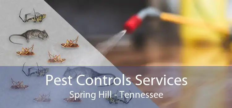 Pest Controls Services Spring Hill - Tennessee