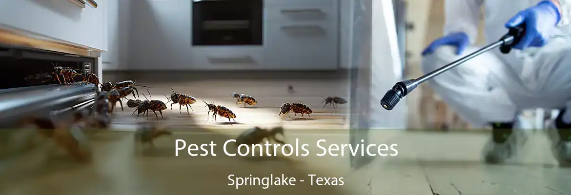 Pest Controls Services Springlake - Texas