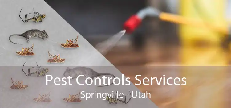 Pest Controls Services Springville - Utah
