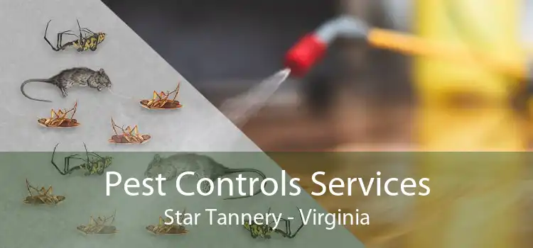 Pest Controls Services Star Tannery - Virginia