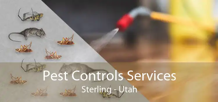 Pest Controls Services Sterling - Utah