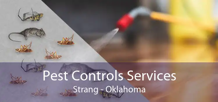 Pest Controls Services Strang - Oklahoma