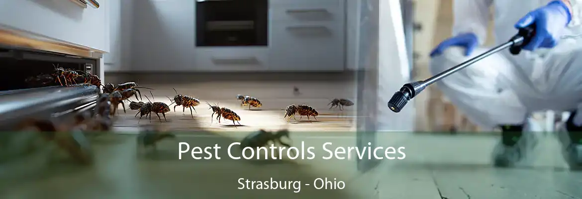Pest Controls Services Strasburg - Ohio