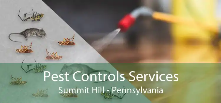 Pest Controls Services Summit Hill - Pennsylvania