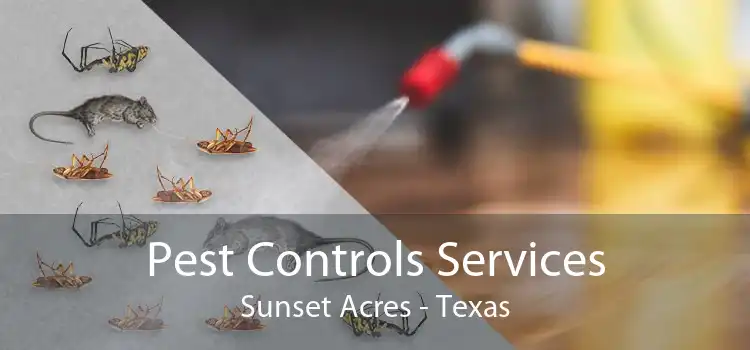 Pest Controls Services Sunset Acres - Texas