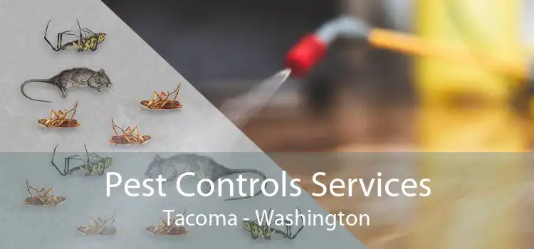 Pest Controls Services Tacoma - Washington