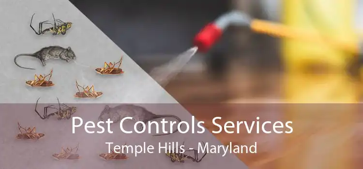 Pest Controls Services Temple Hills - Maryland