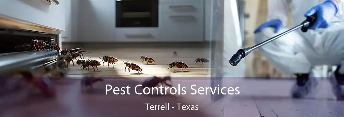 Pest Controls Services Terrell - Texas
