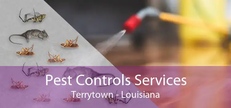 Pest Controls Services Terrytown - Louisiana