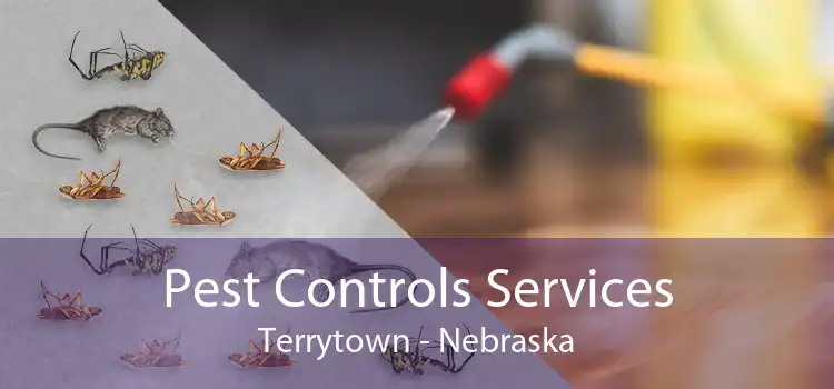 Pest Controls Services Terrytown - Nebraska