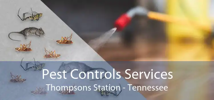 Pest Controls Services Thompsons Station - Tennessee