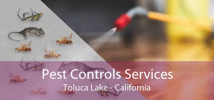 Pest Controls Services Toluca Lake - California