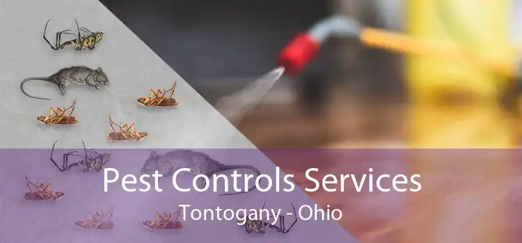 Pest Controls Services Tontogany - Ohio