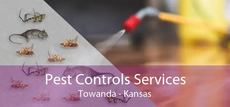 Pest Controls Services Towanda - Kansas