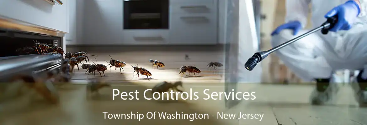 Pest Controls Services Township Of Washington - New Jersey