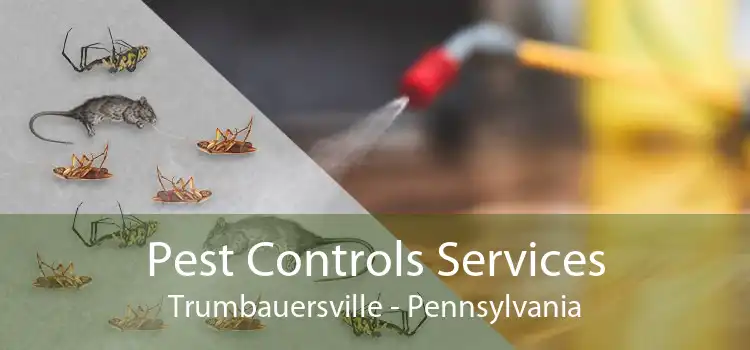 Pest Controls Services Trumbauersville - Pennsylvania