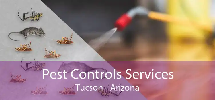 Pest Controls Services Tucson - Arizona